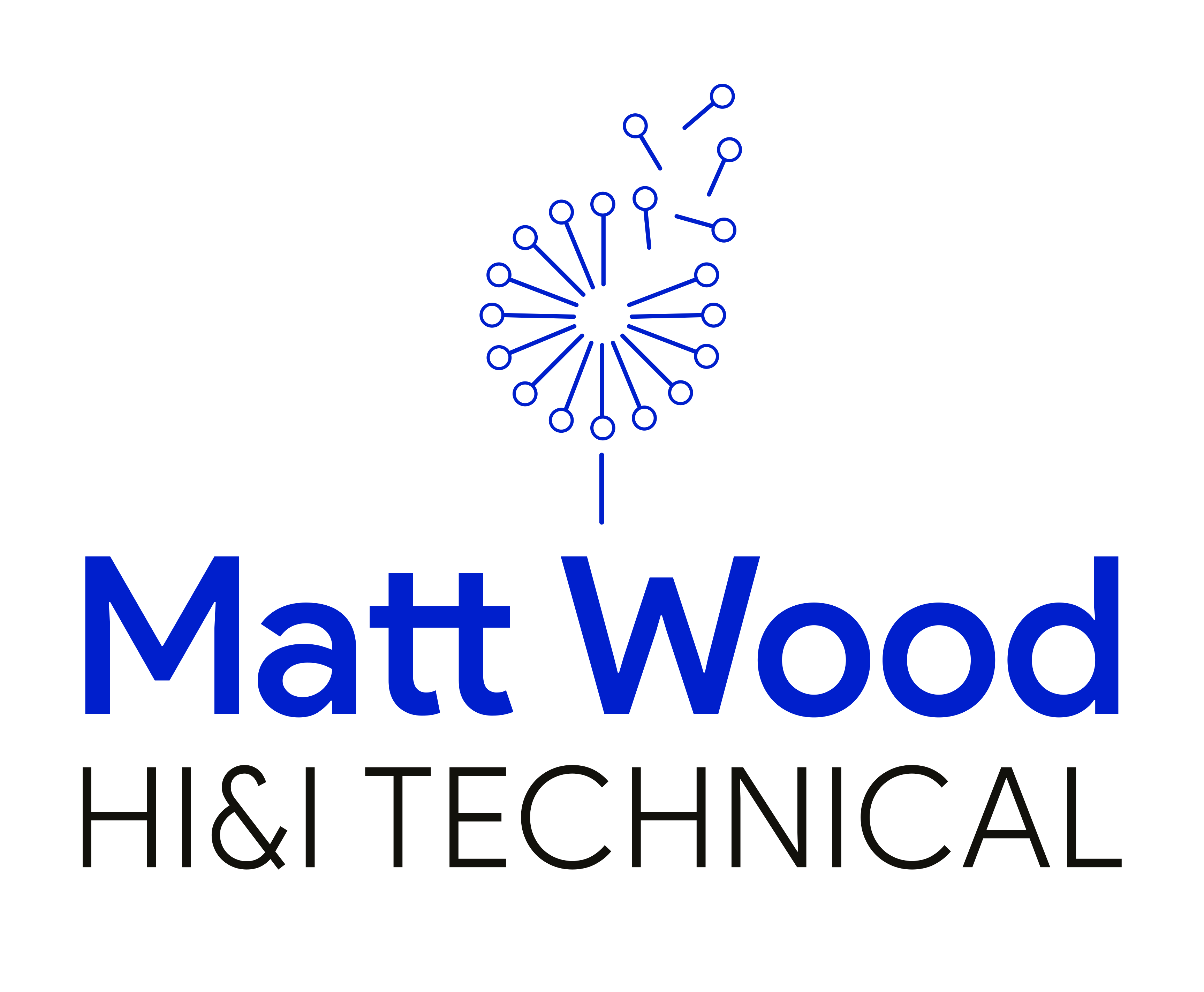 Matt Wood HI&I Technical
